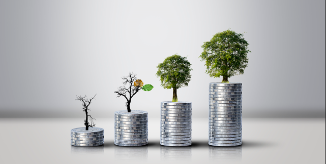 Economia Holística e Crescimento Económico