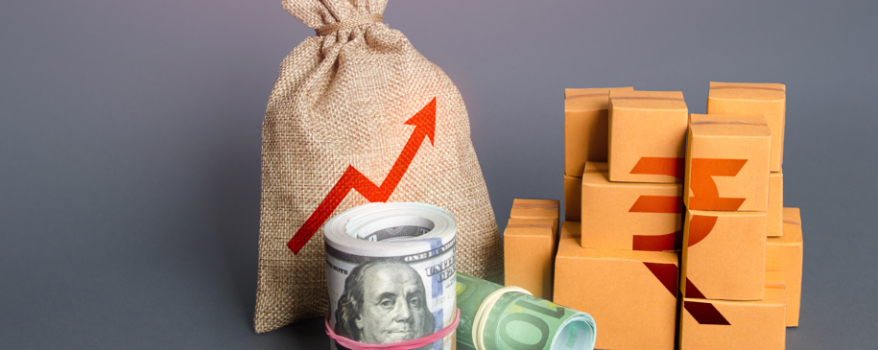 Economia Holística e Produto Interno Bruto