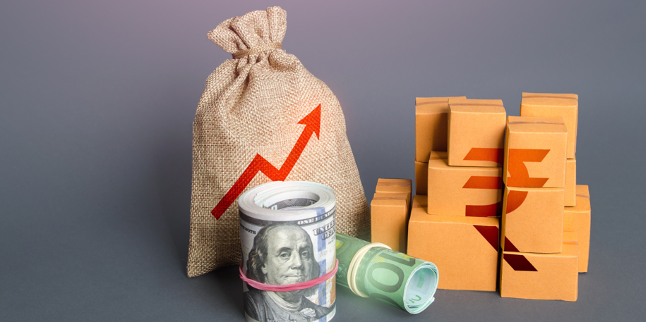 Economia Holística e Produto Interno Bruto