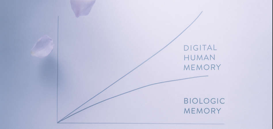 Memória humana vs Memória digital