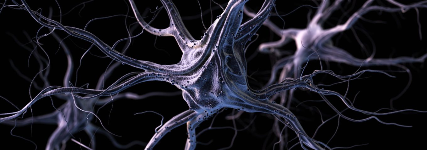 Neurónios