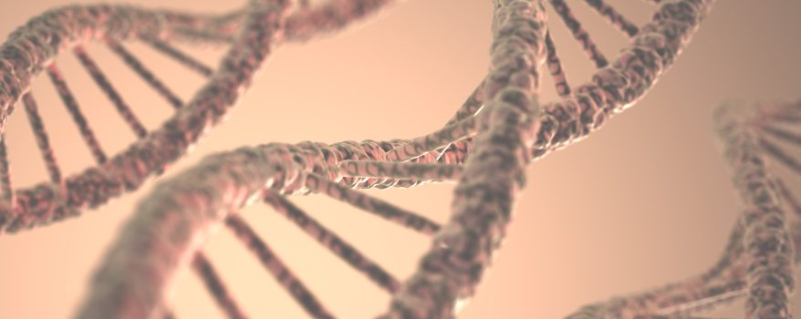 DNA