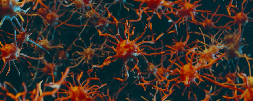 Terapia Bacteriana